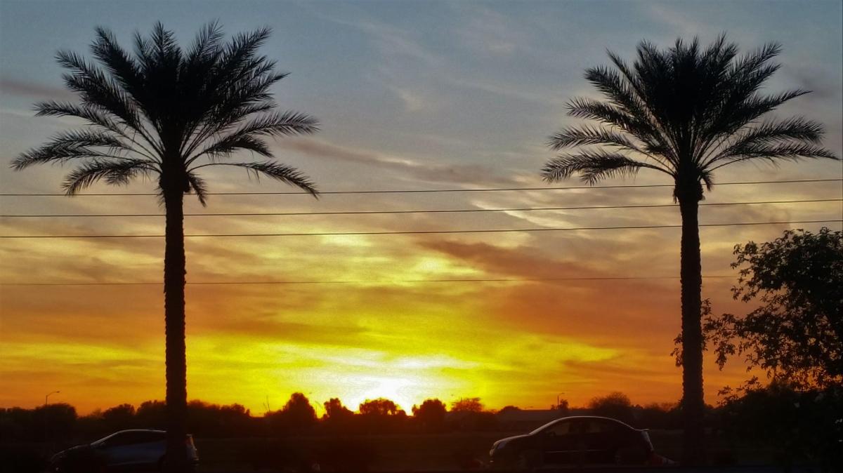 The Sun Will Come Out&nbsp;Today